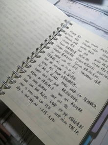 你不知道的大學(xué)寶典 代寫(xiě)英語(yǔ)論文的真相與風(fēng)險(xiǎn)