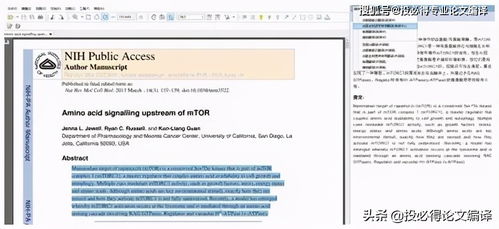 高效學(xué)術(shù)寫作 文獻(xiàn)閱讀與論文寫作工具推薦